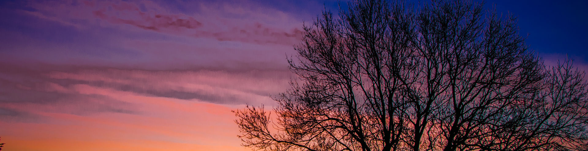 Bannerbild | zur Startseite