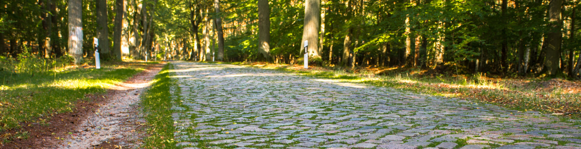 Bannerbild | zur Startseite