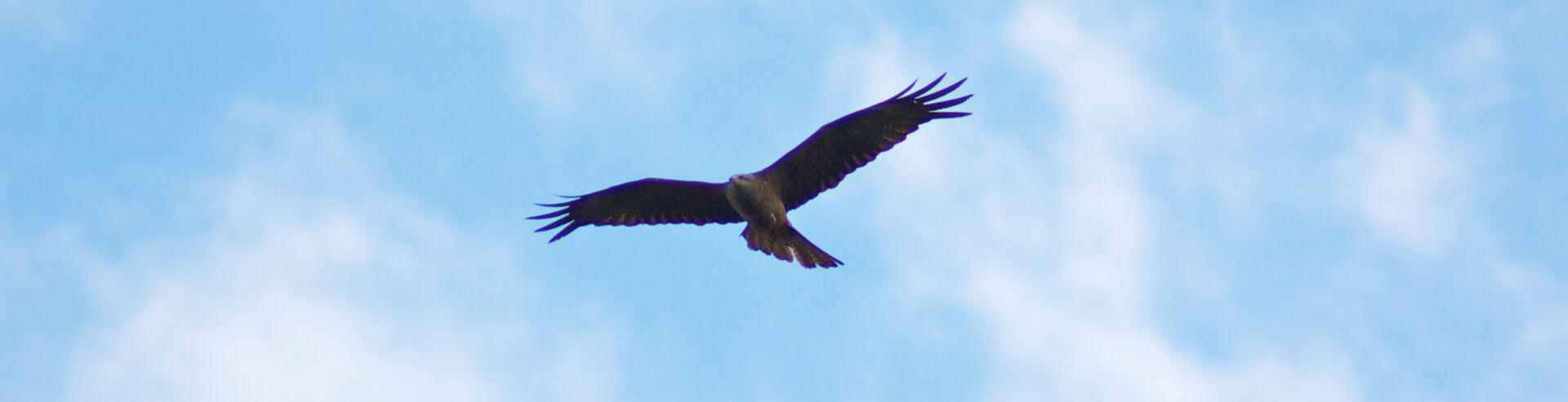 Bannerbild | zur Startseite