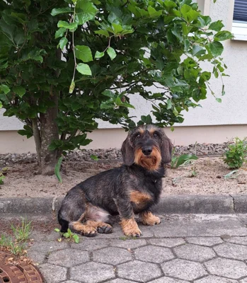 Mitarbeiterbild