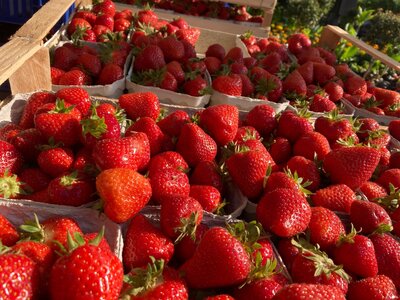 Huberts frische Erdbeeren  (Bild vergrößern)