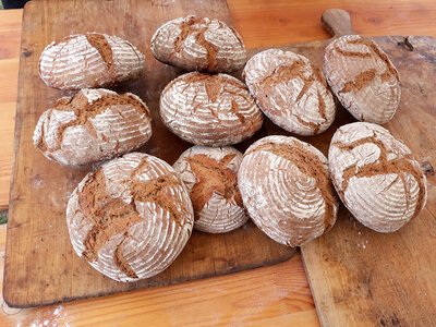 Brot aus dem Holzbackofen  Foto: Museum OSL/ Ehrhardt
