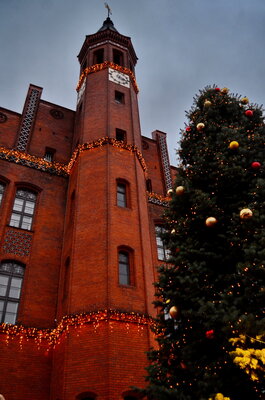 Gerald Baack | Geschmückter Baum sowie geschmücktes Rathaus zur Weihnachtszeit.
