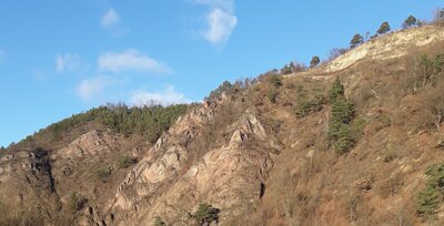 Nationaler Geotop - Bohlenwand bei Saalfeld (Bild vergrößern)
