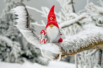 Weihnachtsmann Figur auf verschneitem Ast