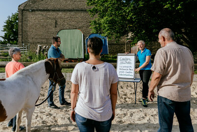 PferdeStärken fürs Leben - Resilienz erlernen mit Pferden | Teil 4