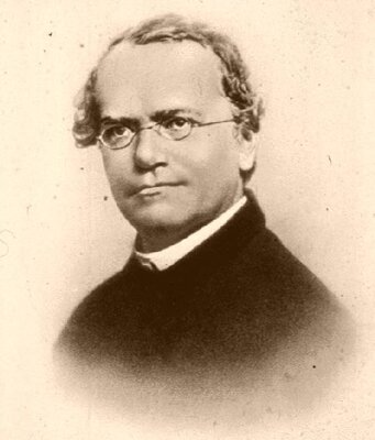 Johann Gregor Mendel (Bild vergrößern)