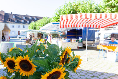 Markt auf dem Blumenplatz