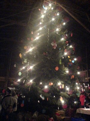 Weihnachtsbaum in der Scheune (Bild vergrößern)