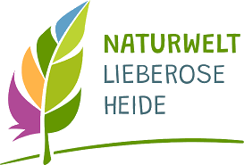 Naturwelt Lieberoser Heide (Bild vergrößern)