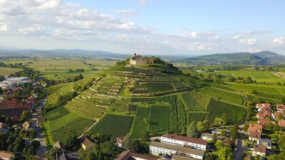 Burg Staufen Drohnenaufnahme, Foto: O oo ooo j CC BY-SA 4.0 (Bild vergrößern)