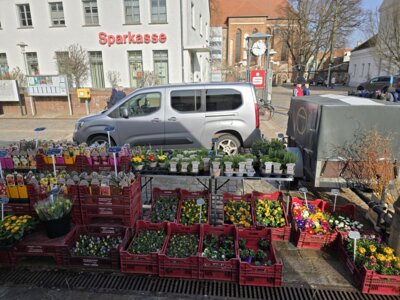 Urtes Blumenshop
