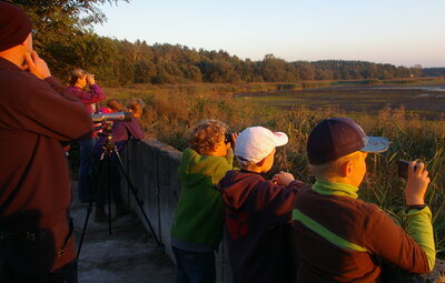 Junior Ranger, Vogelbeobachtung Tauerwiesenteich (Bild vergrößern)