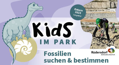Fossilien suchen & bestimmen, Foto: Museums- und Kultur GmbH