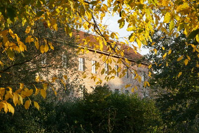 Burg im Herbstlaub (Foto: Jenny Jürgens) (Bild vergrößern)
