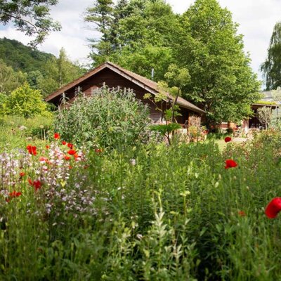 Veranstaltung: Führung durch den Heilpflanzengarten der WALA Heilmittel GmbH und Vortrag Dr. Hauschka Gesichtspflege Fr 09. 05. 2025
