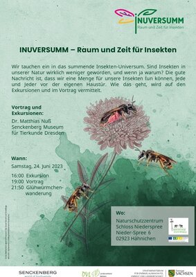 Exkursion Insekten in Niederspree mit Dr. Nuss