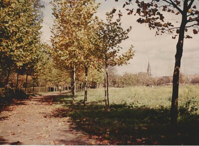 Blick vom Schlossgarten zur Stadt, 1970er Jahre