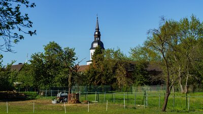 Kirche Dörrwalde (Bild vergrößern)