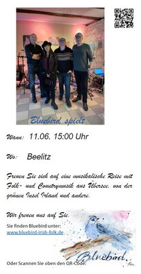 Herzliche Einladung zum Irish Folk - Konzert mit Bluebird in der Stadtpfarrkirche Beelitz!