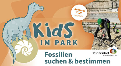 Kids im Park: Fossilien suchen & bestimmen (Bild vergrößern)