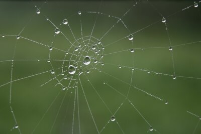 Foto: www.pixabay.de (Bild vergrößern)