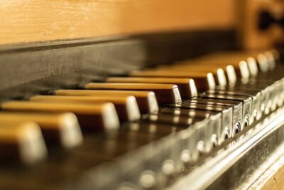 Silbermann-Orgel, Foto: Dominik Ketz - Regionalverbund Thüringer Wald e.V.