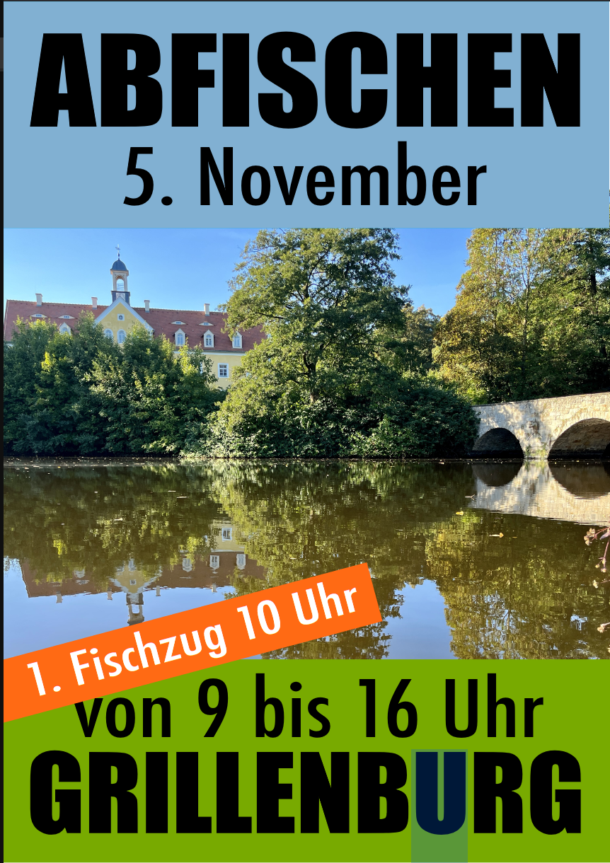 Abfischen Schlossteich Grillenburg Stadt Tharandt