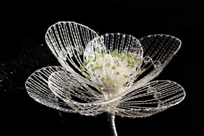 Sonderausstellung zum Sonderausstellungen zum 40. Klöppelspitzenkongress des Deutschen Klöppelverbandes e. V.: Bezaubernder Klöppelschmuck - 3D Blüte aus Draht mit Perlen geklöppelt (Bild vergrößern)