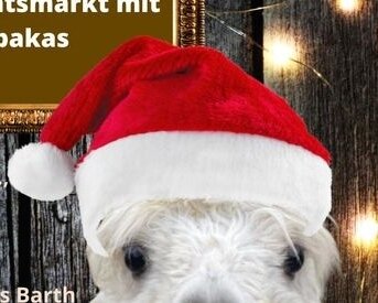 Veranstaltung: Weihnachtsmarkt Alpakahof Barth