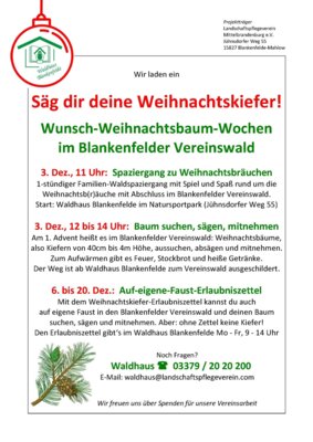 Veranstaltung: Wunsch-Weihnachtsbaum-Wochen im Blankenfelder Vereinswald