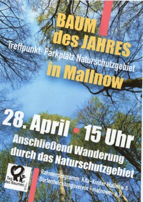 Veranstaltung: Baum des Jahres in Mallnow