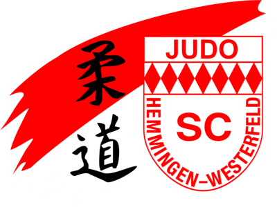 judohemmingen.de - Letzter Trainingstag vor den Sommerferien