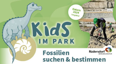 Kids im Park: Fossilien suchen & bestimmen (Bild vergrößern)
