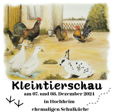 Foto zur Veranstaltung