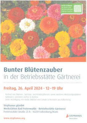 Veranstaltung: Bunter Blütenzauber in der Betriebsstätte Gärtnerei
