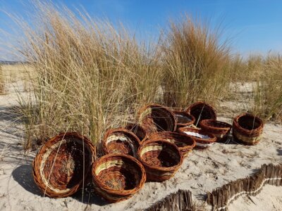 Veranstaltung: Verflochtenes – Das Korbflechterhandwerk im pädagogischen und therapeutischen Kontext mit Bezug zum Umwelt- und Klimaschutz 20.  -  24. Okt 2025