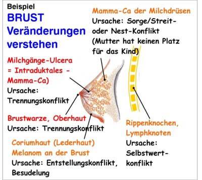 Veranstaltung: Die universelle biologische Ordnung des Lebens - Entstehung und Selbstheilung von Krankheiten Modul I - die 5 biologischen Naturgesetze Das kompakte elementare Basiswissen