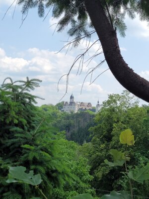 Die Rochsburg vom Wanderweg aus