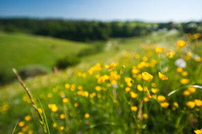 copyright Dominik Ketz/GesundLand Vulkaneifel