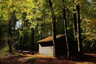 Schwarze Hütte - Einbecker Stadtwald