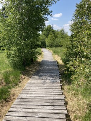 Bohlenweg durchs Hühnerfeld (Bild vergrößern)