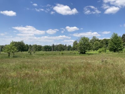 Hühnerfeld (Bild vergrößern)