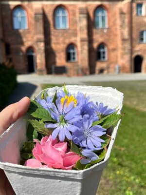 Kleine Planzenwerkstatt im Kindermuseum im Mönchenkloster (Bild vergrößern)