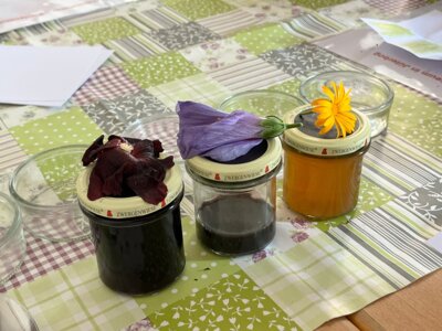 Kleine Pflanzenwerkstatt (Bild vergrößern)