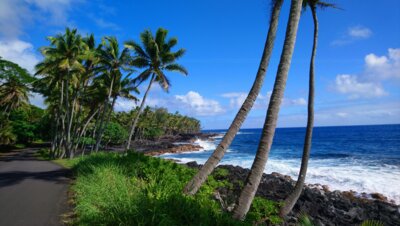 Veranstaltung: Aloha Erleben