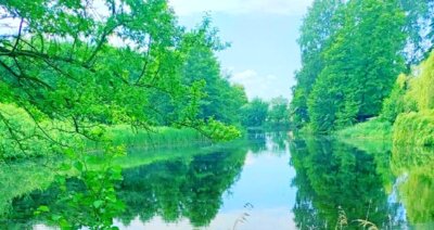Aloha am See