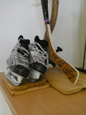 Erinnert wird auch an ehemalige Sektionen, z. B. Eishockey