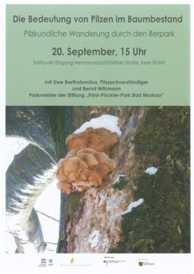 Foto zur Veranstaltung