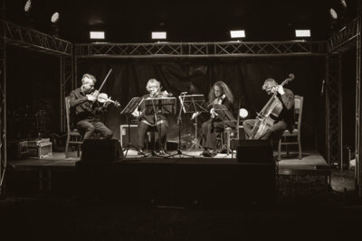 Hoffmeister-Quartett (c) Prignitzliebe-Anja Möller